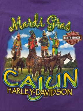 Harley Davidson Men’s Purple 2XL T-Shirt Mardi Gras Cajun Louisiana Harley Biker